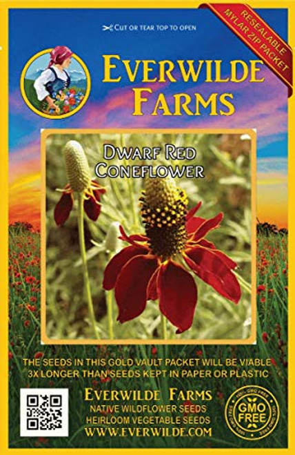 Everwilde Farms - 2000 Dwarf Red Coneflower Native Wildflower Seeds - Gold Vault Jumbo Seed Packet