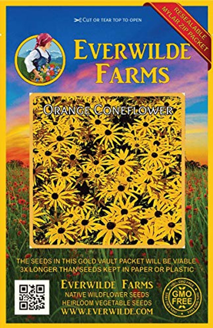 Everwilde Farms - 200 Orange Coneflower Native Wildflower Seeds - Gold Vault Jumbo Seed Packet