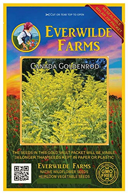 Everwilde Farms - 2000 Canada Goldenrod Native Wildflower Seeds - Gold Vault Jumbo Seed Packet