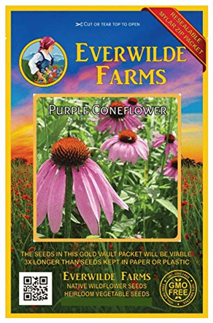 Everwilde Farms - 1000 Purple Coneflower Native Wildflower Seeds - Gold Vault Jumbo Seed Packet