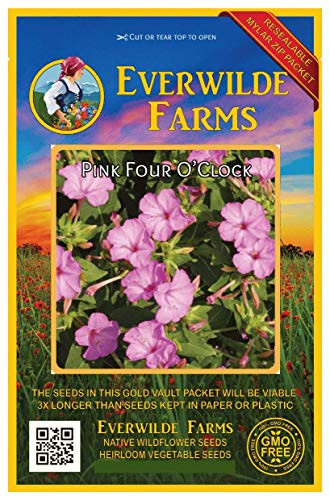 Everwilde Farms - 50 Pink Four O' Clock Wildflower Seeds - Gold Vault Jumbo Seed Packet