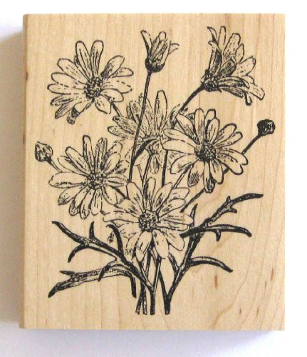 Nature's Blessings Fine Art Stamps, Daisy