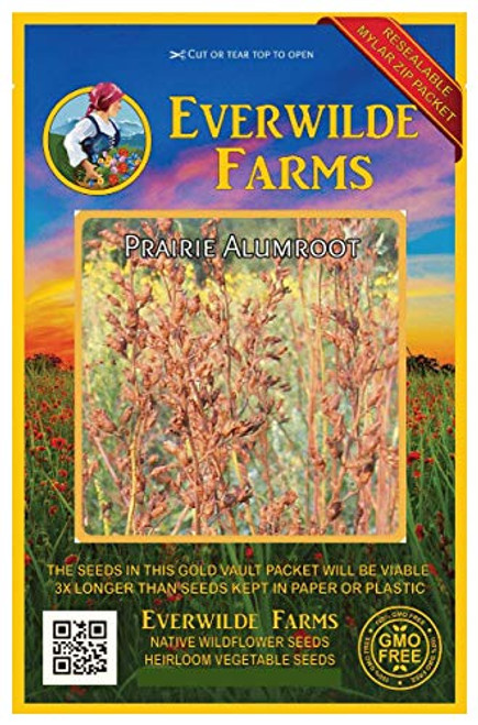 Everwilde Farms - 2000 Prairie Alumroot Native Wildflower Seeds - Gold Vault Jumbo Seed Packet