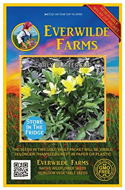 Everwilde Farms - 40 Early Buttercup Native Wildflower Seeds - Gold Vault Jumbo Seed Packet