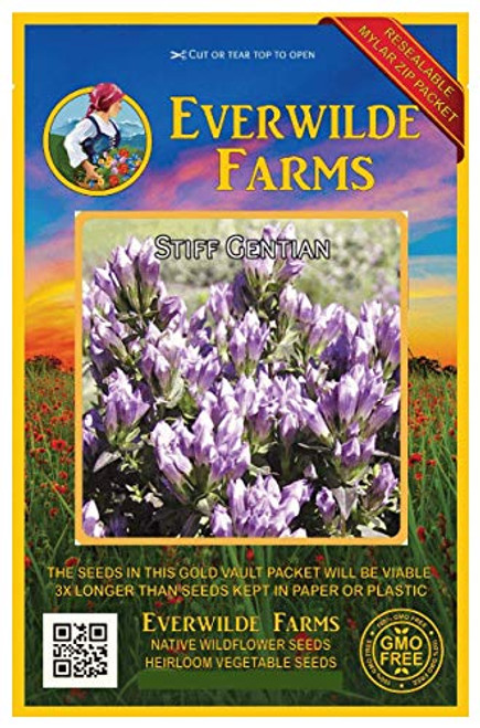 Everwilde Farms - 1000 Stiff Gentian Native Wildflower Seeds - Gold Vault Jumbo Seed Packet Everwilde Farms - 1000 Stiff Gentian Native Wildflower Seeds - Gold Vault Jumbo Seed Packet