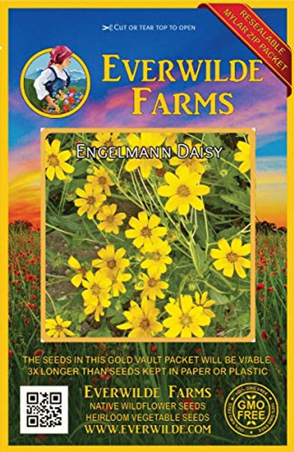 Everwilde Farms - 200 Engelmann Daisy Native Wildflower Seeds - Gold Vault Jumbo Seed Packet