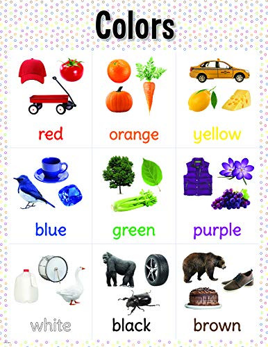 Creative Teaching Press Colors Chart- CTP 8611