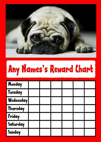 Red Pug Star Sticker Reward Chart