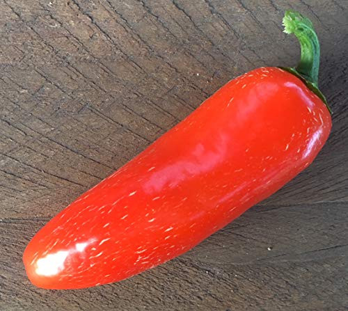 Sherwoods Seeds Orange Spice Jalapeno Pepper Premium Seed Packet Perfect for Poppers Plus More