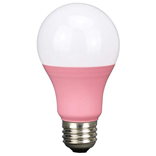 Energetic -Watt EQ A19 Pink LED Light Bulb