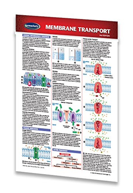 Membrane Transport Guide - Pocket Chart - Cellular Biology Quick Reference Guide by Permacharts