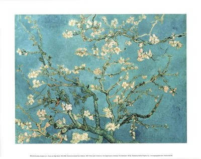 `-11x14- Vincent van Gogh Almond Blossom Branch of an Almond Tree in Blossom 1890 Art Print Poster