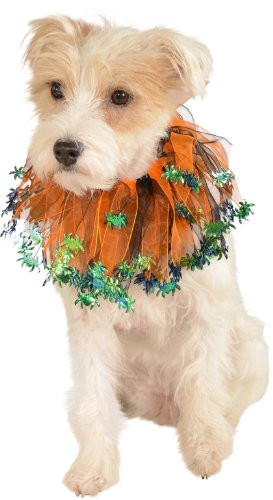 Rubie's Pet Collar- Small to Medium- Black and Orange Spiders