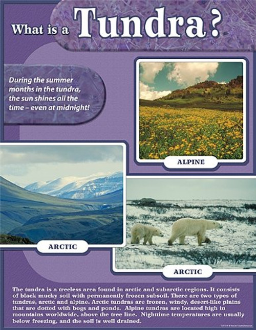 Teacher Created Resources Tundra Chart- Multi Color -7614- Teacher Created Resources Tundra Chart- Multi Color -7614-