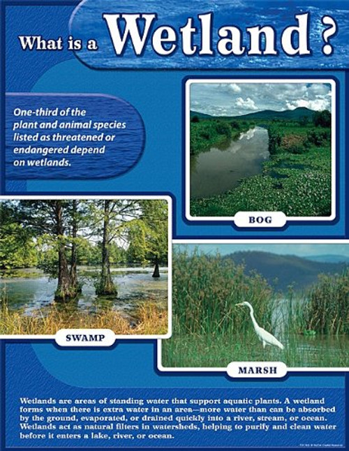 Teacher Created Resources Wetland Chart- Multi Color -7615- Teacher Created Resources Wetland Chart- Multi Color -7615-