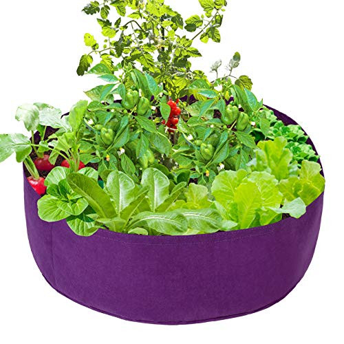 Mokyler Round Raised Garden Bed- Plant Grow Bag Raised Plant Bed Felt Fabric Raised Planting Bed- Garden Grow Planter Purple Raised Garden Planter- Veg Planter Pot for Herb Flower Vegetable Plants Mokyler Round Raised Garden Bed- Plant Grow Bag Raised Plant Bed Felt Fabric Raised Planting Bed- Garden Grow Planter Purple Raised Garden Planter- Veg Planter Pot for Herb Flower Vegetable Plants