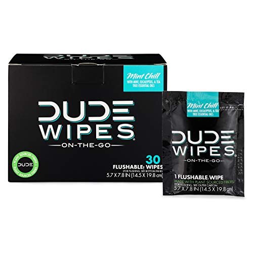 DUDE Wipes Flushable Wipes- Individually Wrapped Wet Wipes for Travel- Mint Chill Scent with Vitamin-E and Aloe- 30 On-The-Go singles DUDE Wipes Flushable Wipes- Individually Wrapped Wet Wipes for Travel- Mint Chill Scent with Vitamin-E and Aloe- 30 On-The-Go singles