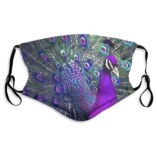 Purple Peacock Face Mask Unisex Balaclava Comfortable Washable Reusable Cloth Fashion Scarf with Filters