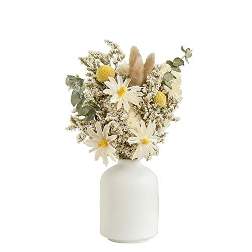 Ceramic Vase for Home Decor-Ceramic Vase- Dried Flower Vase- Living Room Decoration- Flower Arrangement Decoration Shooting Props-The Best Gift -White- Ceramic Vase for Home Decor-Ceramic Vase- Dried Flower Vase- Living Room Decoration- Flower Arrangement Decoration Shooting Props-The Best Gift -White-