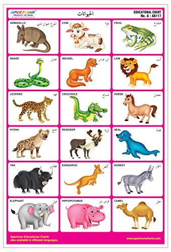 Spectrum Arabic Language Animals Name Pre-Primary Kids Learning Laminated Wall Chart