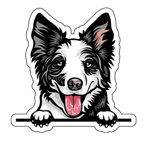 WickedGoodz Smiling Border Collie Vinyl Decal - Dog Breed Bumper Sticker - for Laptops Tumblers Windows Cars Trucks Walls