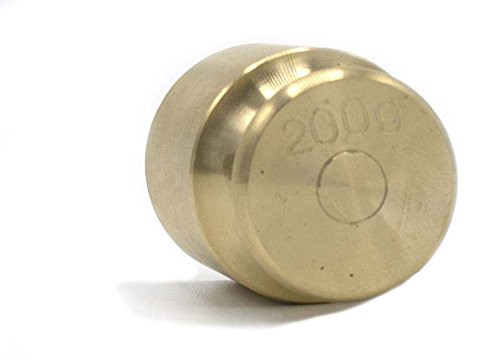 200g Balance Weight Spare - Brass - Eisco Labs