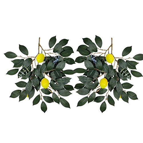 RTWAY Artificial Lemon Branch- 2pcs Fake Lemon Flower Branches with Green Leaves- Yellow Fake Lemon Decorations Farmhouse Style for Kitchen Party Decor RTWAY Artificial Lemon Branch- 2pcs Fake Lemon Flower Branches with Green Leaves- Yellow Fake Lemon Decorations Farmhouse Style for Kitchen Party Decor