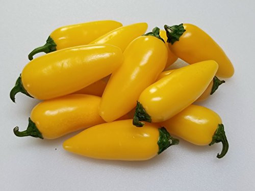 NuMex Lemon Spice Jalapeno Pepper 10Plus Seeds