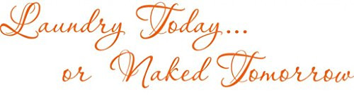 Klein_Kreations inchLaundry Today or Naked Tomorrow Wall Decor Vinyl Decal- Orange