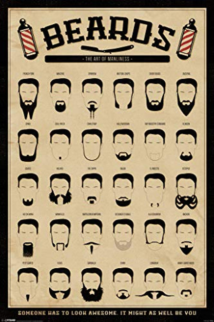 Pyramid America Beards The Art of Manliness Facial Hair Chart Barber Cool Wall Decor Art Print Poster 12x18