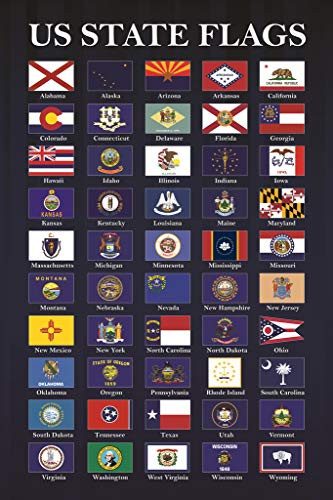 Flags US States Flags Updated 2021 New Mississippi Classroom Chart Educational Decoration Civics American History USA Dark Banner Cool Wall Decor Art Print Poster 12x18