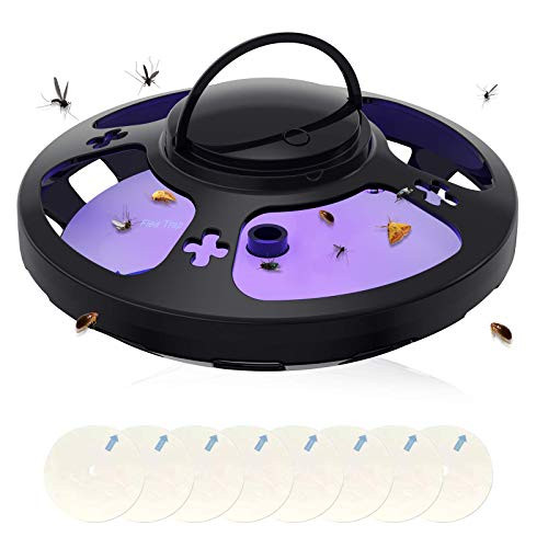 BOYON Flea Trap Fruit Fly Trap Killer Indoor with 8 Sticky Glue Boards - Insect Killer and Flying Bugs Gnat Trap Mosquito Trap with UV Light -4 Modes- Insect Trap Suitable for Home- Kitchen or Office