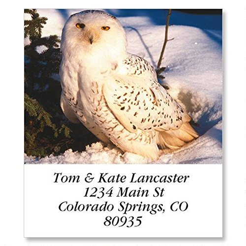 Owls Select Self-Adhesive- Flat-Sheet Address Labels -12 Designs-