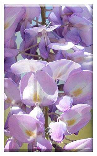 Single-Gang Blank Wall Plate Cover - Wisteria Bloom Purple Flower White Lilac Spring 1