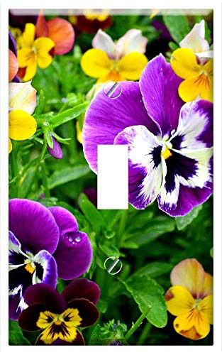 Switch Plate Single Toggle - Pansy Flower Purple Yellow Blossom Bloom Nature