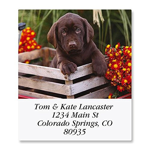 Doggone Fascinating Self-Adhesive- Flat-Sheet Select Address Labels -12 Designs-