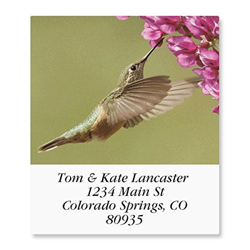 Birds of North America Self-Adhesive- Flat-Sheet Select Address Labels -24 Designs-