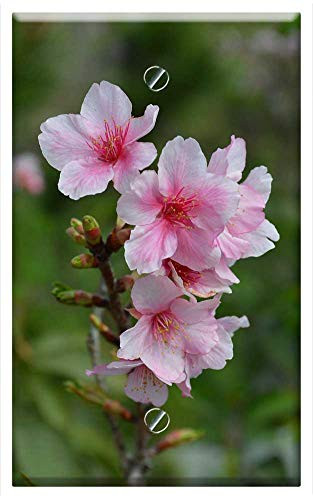 Single-Gang Blank Wall Plate Cover - Cherry Blossoms Flower Flowers Branch Spring