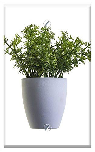 Single-Gang Blank Wall Plate Cover - Plant Green Sheet Nature Plants Perennial Branch