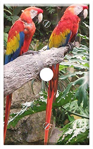 Single Hole Device Telephone/Cable Wall Plate Cover - Macaw Parrots Birds Tropical Colorful Branch Pet