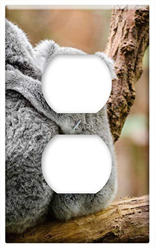 Switch Plate Outlet Cover - Adorable Animal Branch Cute Furry Koala Marsupial