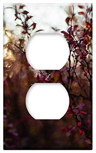 Switch Plate Outlet Cover - Nature Autumn Barberry Berberis Branch Bright