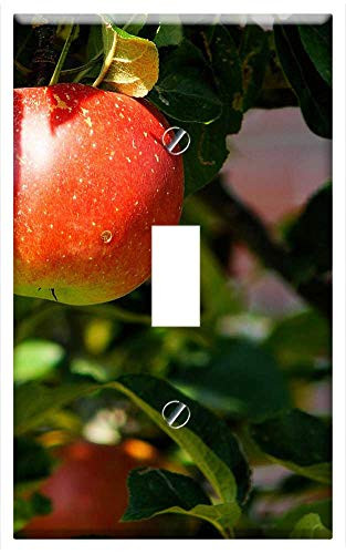 Switch Plate Single Toggle - Apple Tree Branch Apple Fruit Sweet Red Herrlich