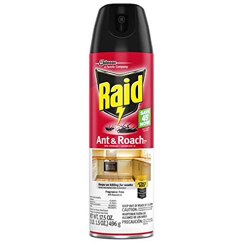Raid Ant and Roach Killer Fragrance Free -17.5 Ounce -Pack of 1--