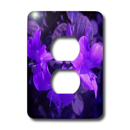 3dRose lsp_7498_6 Purple Pop 2 Plug Outlet Cover Multicolor