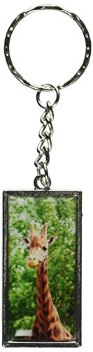 Graphics and More Giraffe African Zoo Animal Keychain Ring (K2252)