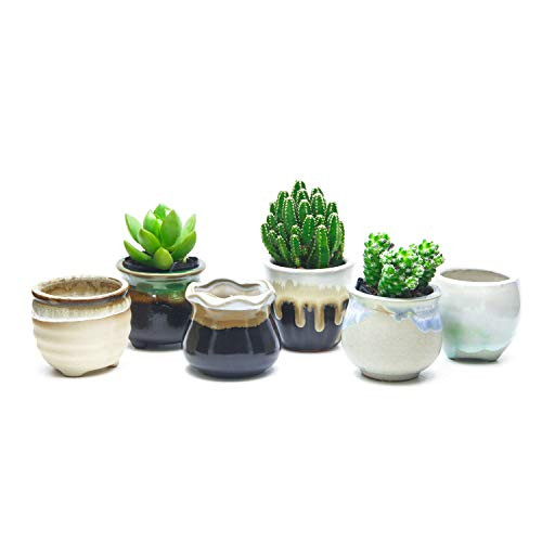 goldblue Succulent Pot Ceramic Succulent Plant Pot Cactus Plant Pot Flower Pot Container Planter Flowing Glaze Black and White Base Plant Pot Pack of 6