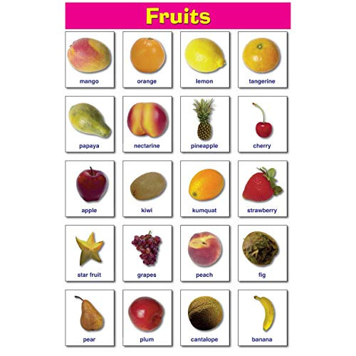 Ring Cards Fruits Educational Laminated Chart