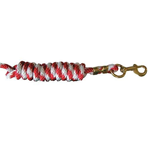 Intrepid International Poly Lead Rope with Solid Brass Snap- Red/White