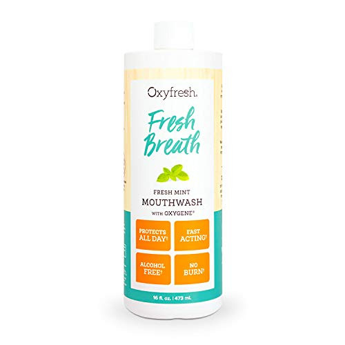 Oxyfresh Fresh Breath Fresh Mint Mouthwash  Dentist Recommended for Long-Lasting Fresh Breath  and  Healthy Gums | Alcohol  and  Fluoride Free -1-16 oz Bottle-
